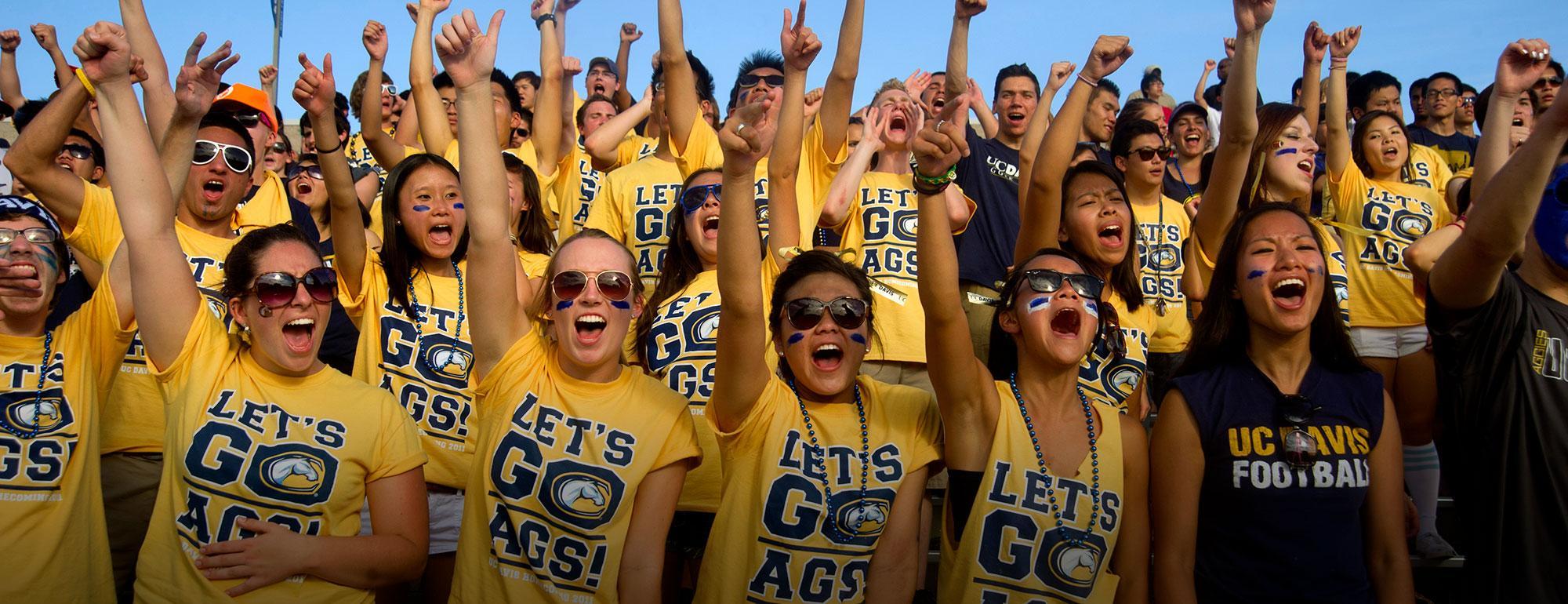 Decorative photo of students cheering at football game.