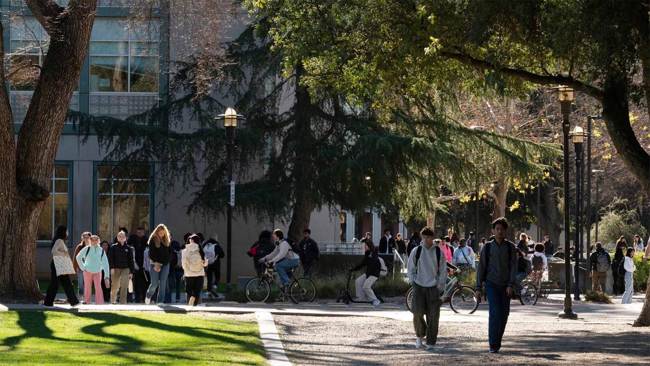 Students walking on a path on campus